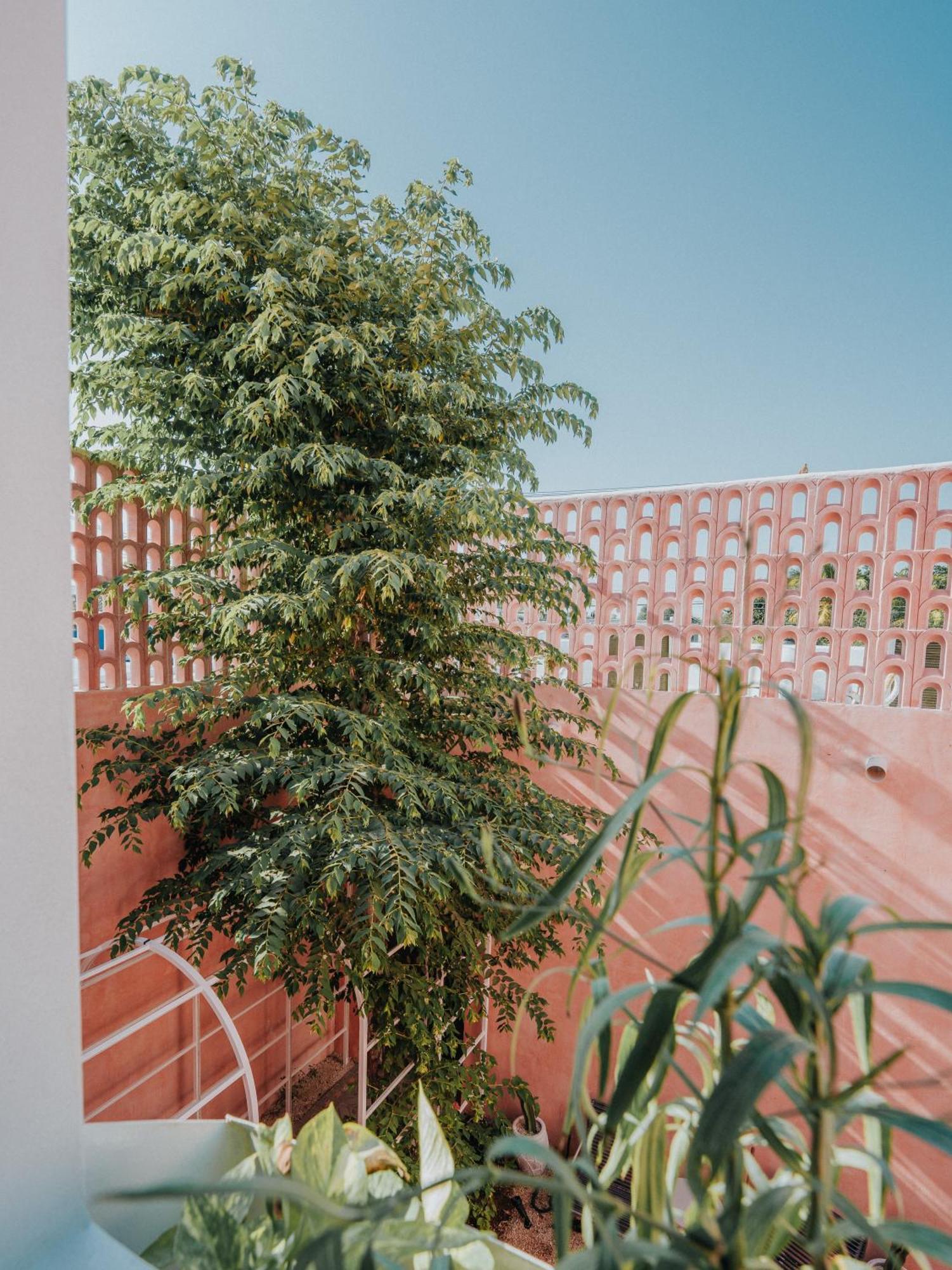 Casa Amate 61 Boutique Hostel Меріда Екстер'єр фото